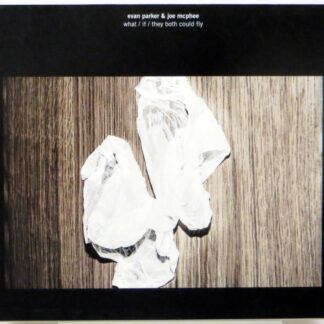 EVAN PARKER & JOE McPHEE - What / If / They Both Could Fly - CD 2013